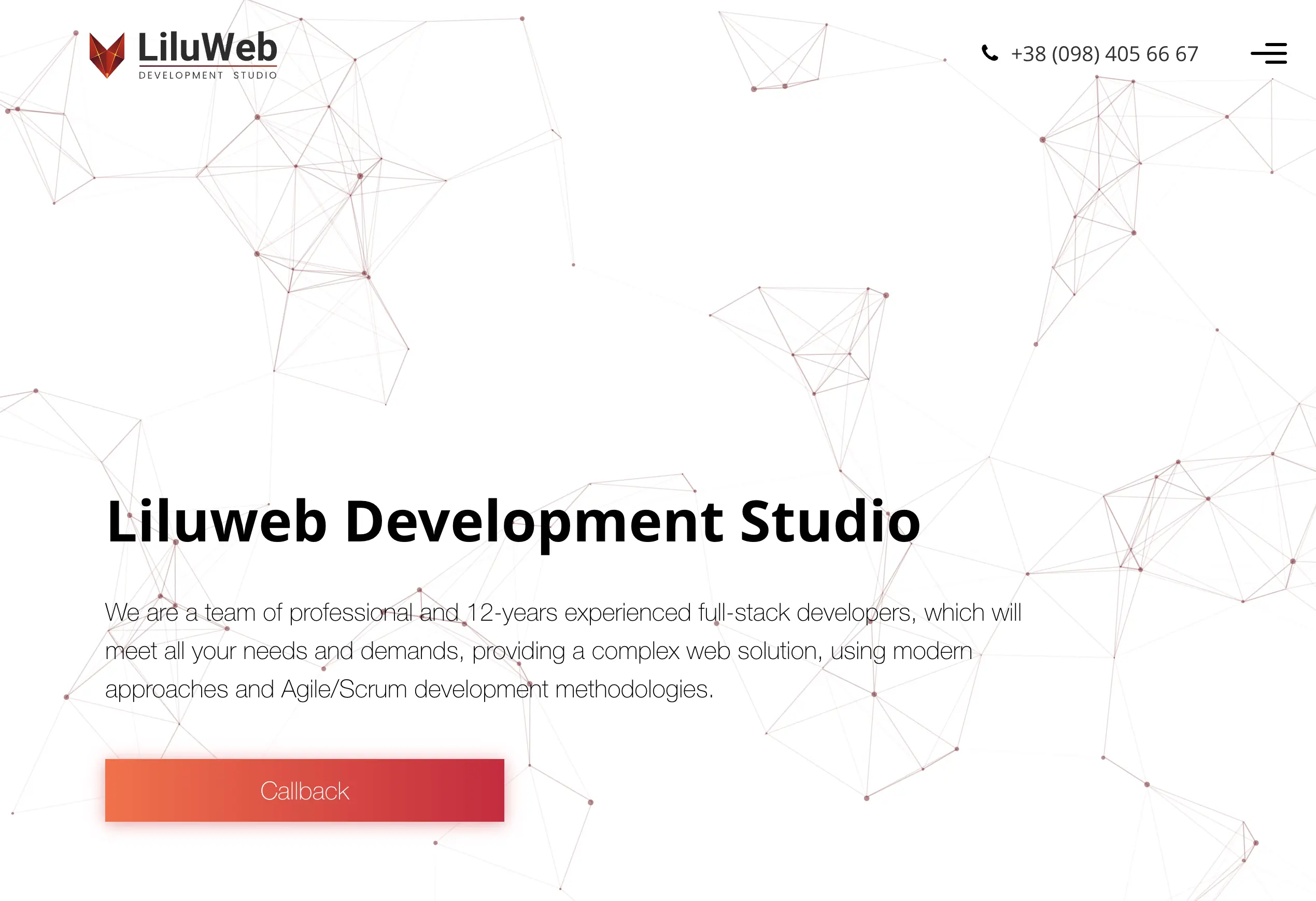 LiluWeb Development Studio logo